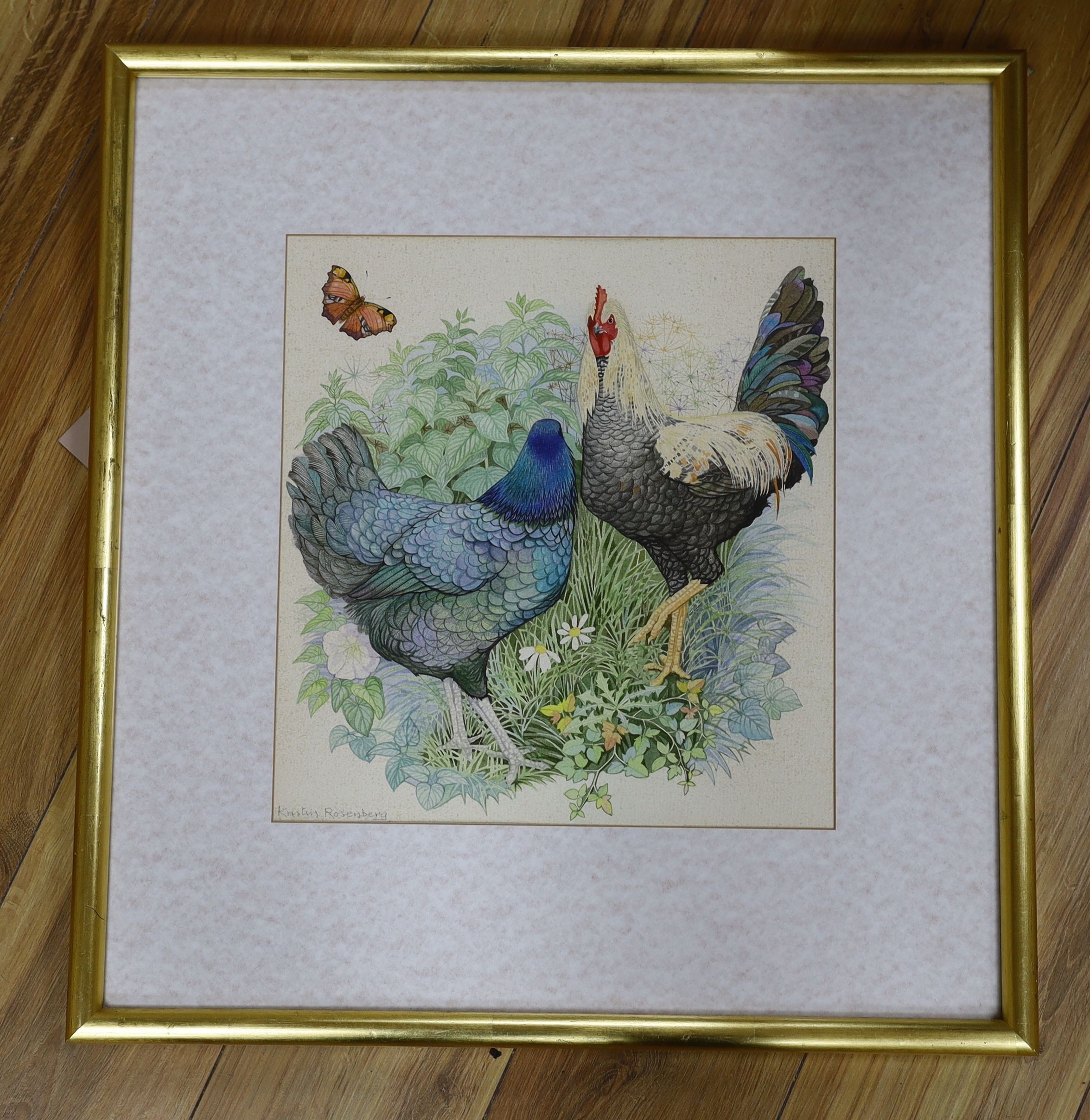 Kristen Rosenberg (b.1933), watercolour, Two exotic cockerels and a butterfly, signed, 36 x 34cm